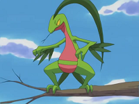 EP342 Grovyle de Ash