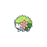 Shaymin tierra XY