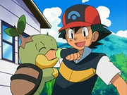 EP535 Turtwig mordiendo el brazo a Ash