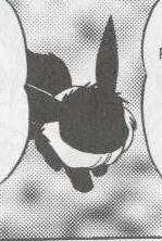 PMS019 Eevee