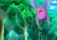 Crobat de Brock usando Supersonico