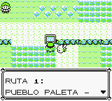 Señal Pueblo Paleta