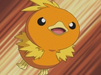 EP305 Torchic