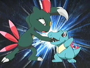 EP273 Sneasel de Harrison vs Totodile de Ash