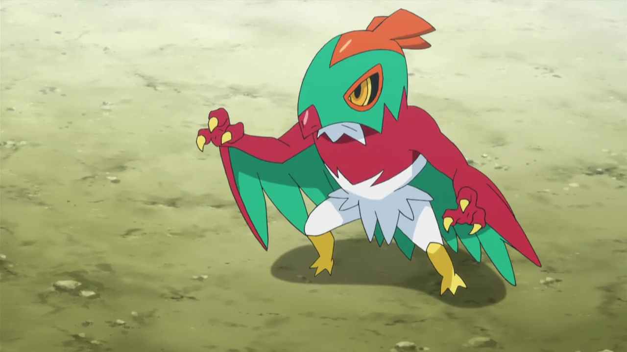 Hawlucha de Ash WikiDex FANDOM powered by Wikia