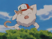 EP025 Mankey de Ash