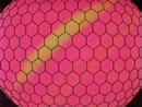 EP086 Ojo de Venonat