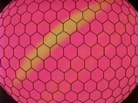 EP086 Ojo de Venonat