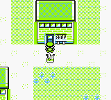Tienda Pokémon Ciudad Verde