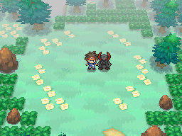 Haxorus Wikidex Fandom