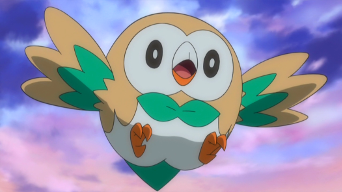 Rowlet De Ash Wikidex Fandom