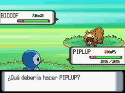Luchando contra un Bidoof