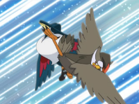 EP587 Staraptor usando a bocajarro