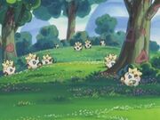 EP321 Paraiso Togepi