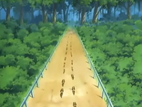 EP389 Huellas de Linoone