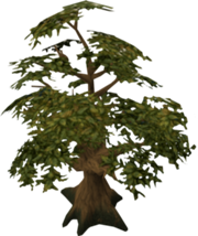 180px-Oak tree detail