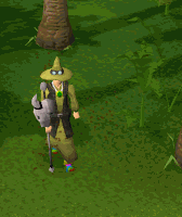 Monkey