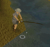 Fishingg