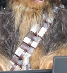 Bandolier TFA
