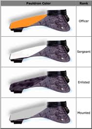 Pauldron espaldares