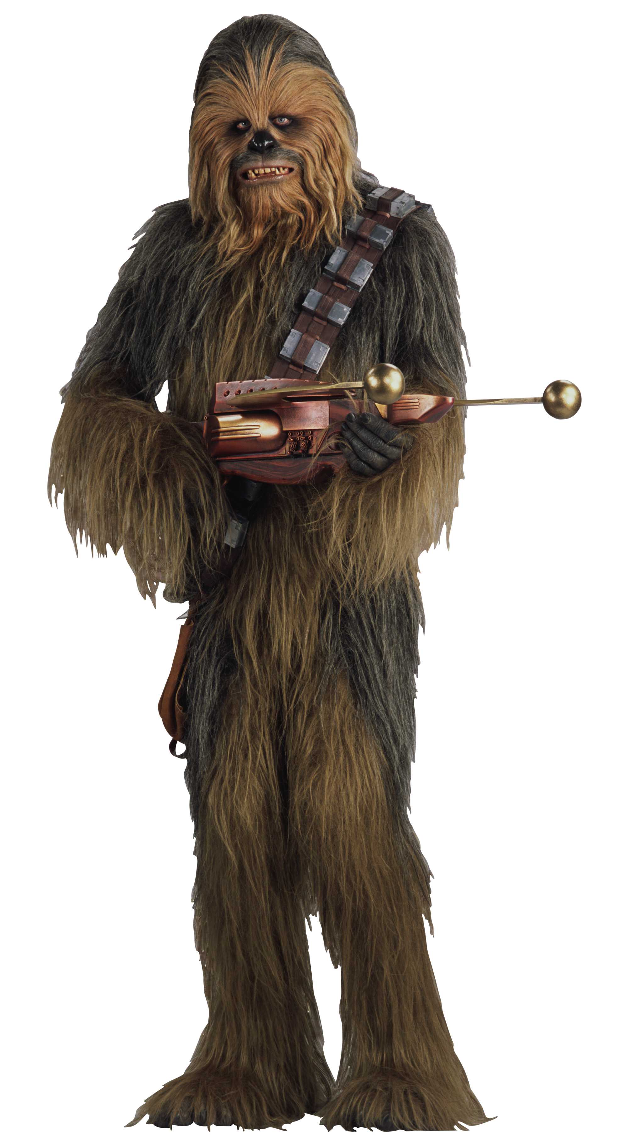 Wookiee | Star Wars Wiki | Fandom