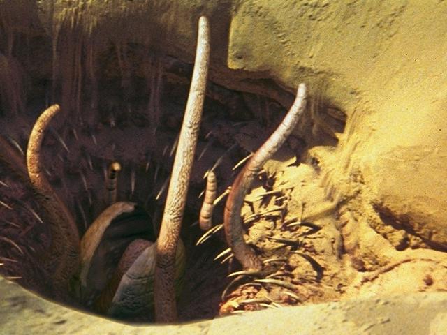 Resultado de imagen para Sarlacc