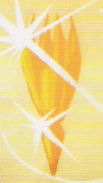 Solaricrystal