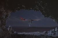Fly mantigrue