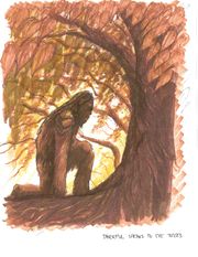 Tarrful Speaks to Trees concept