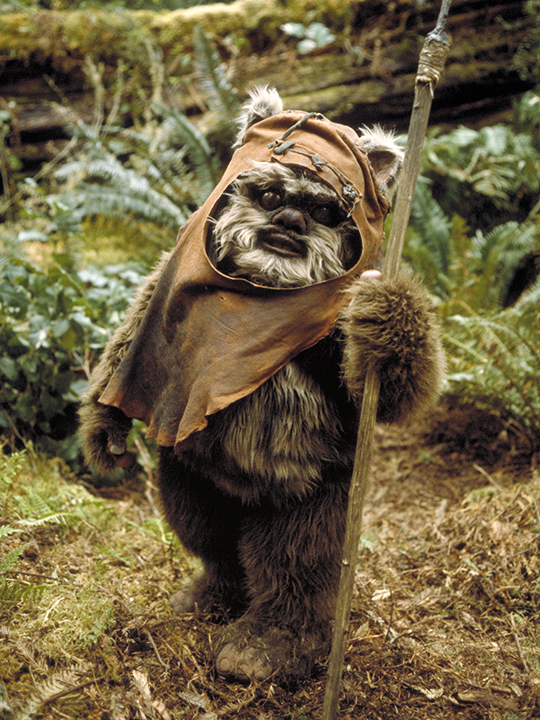 Wicket W. Warrick Star Wars Wiki Fandom Wicket W. Warrick Star Wars Wiki Fandom