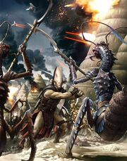 Rakata contra los Kiliks