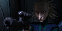 Satinegunpoint
