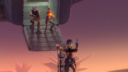 The Mystery of Chopper Base 19