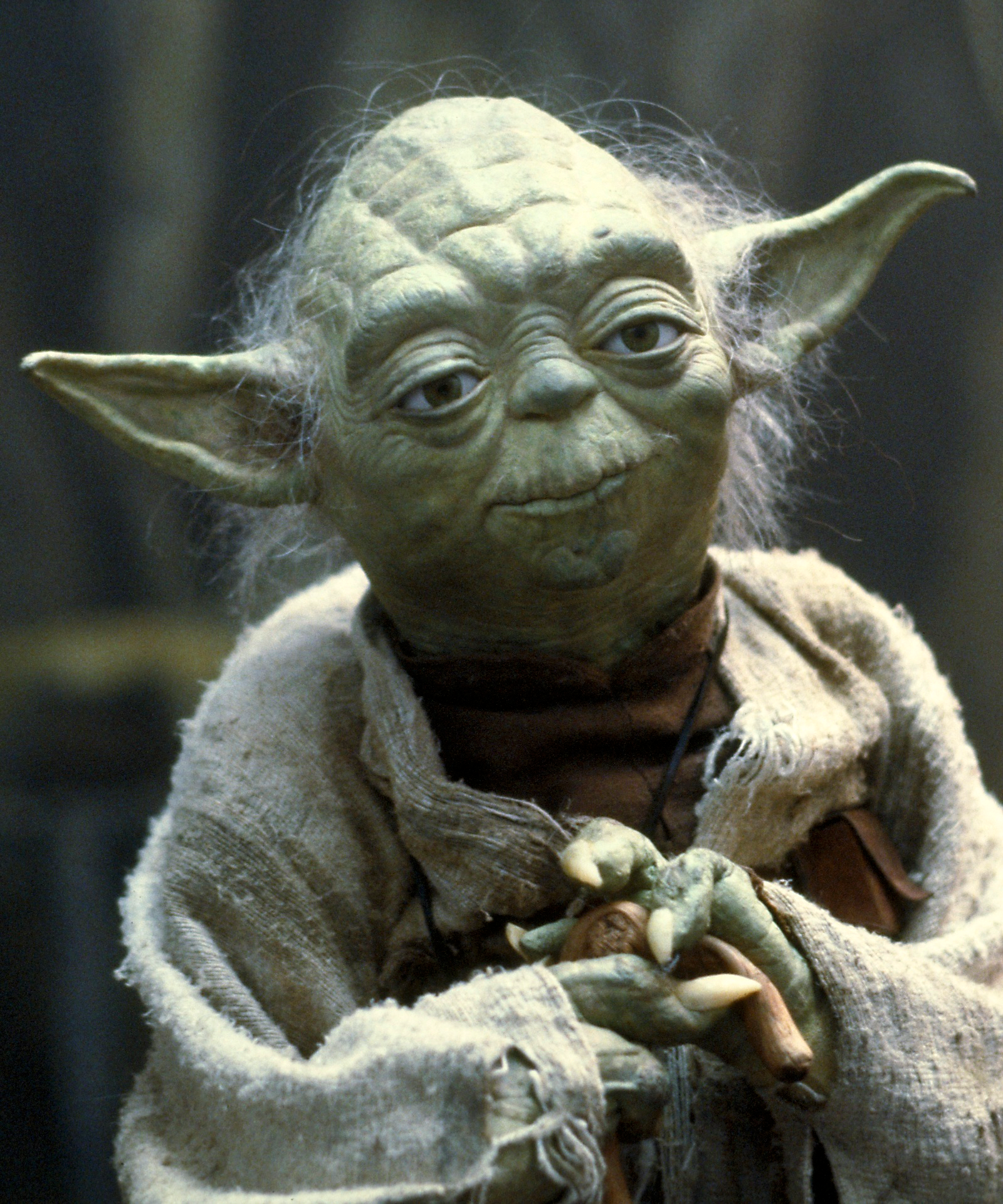 Resultado de imagen de yoda