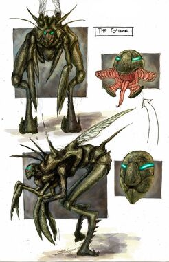 Xenos cythor