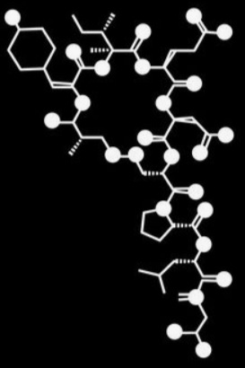 Cordatina