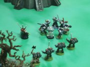 Templarios resistencia