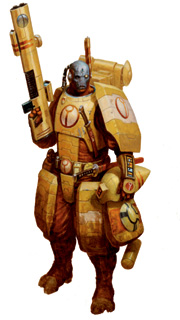 Tau Firewarrior