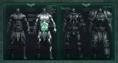 Anatomía Astartes servoarmadura