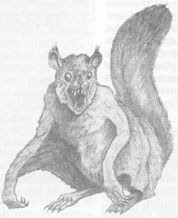 Ptera ardillas
