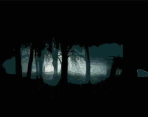 Bosque Dokkä