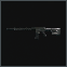Lone Star TX-15 DML Rifle
