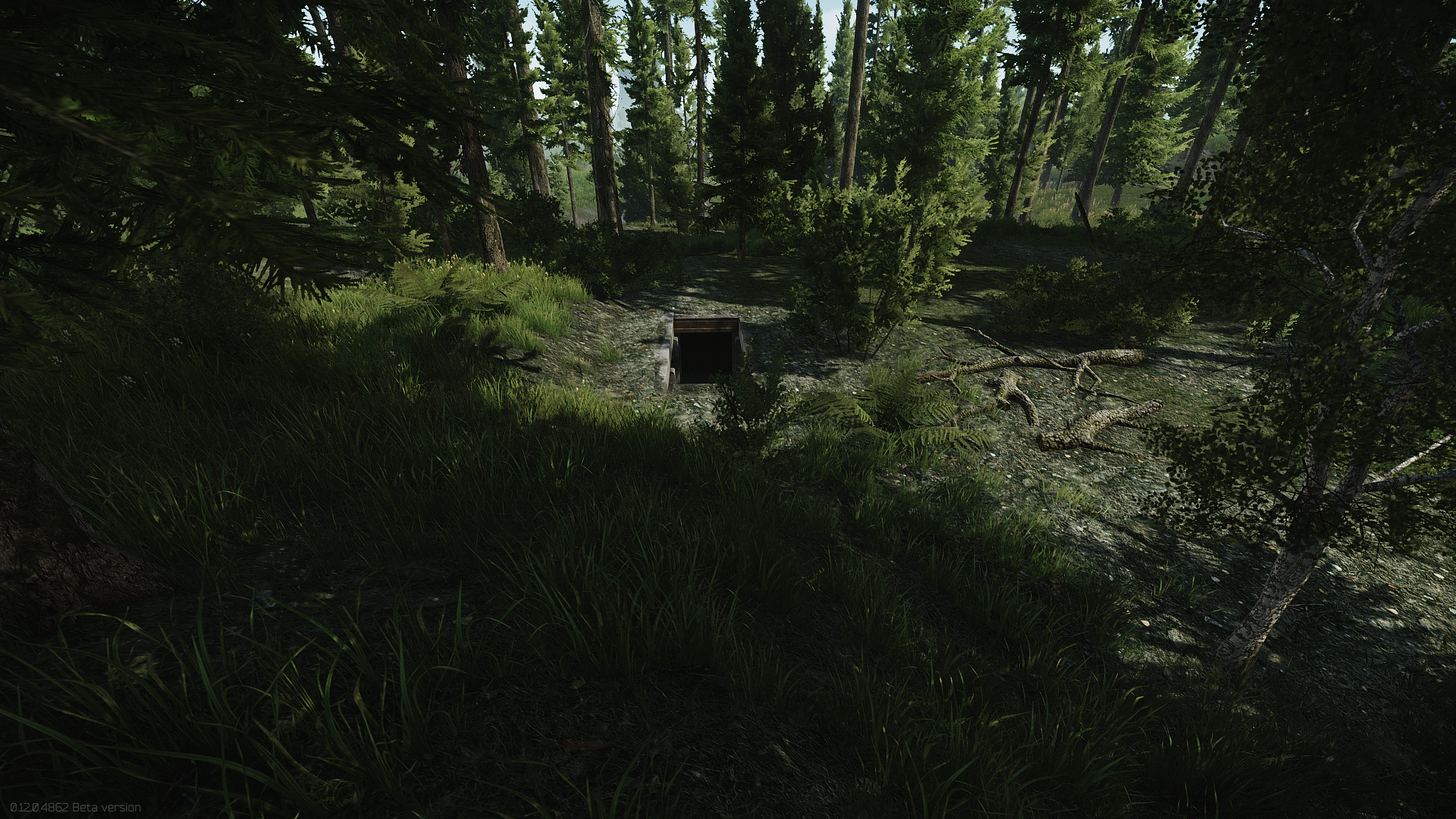 escape from tarkov woods