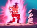 Index355