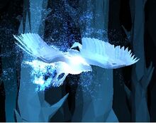 Patronus busardo