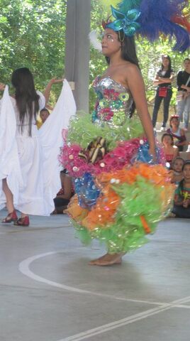 Archivo:Carnaval16.jpg