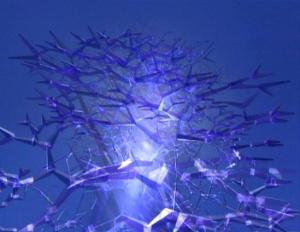 Crystalline Entity