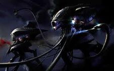 Imgres