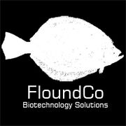 FloundCoLogo steam