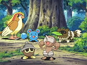 EP449 Pokémon salvajes